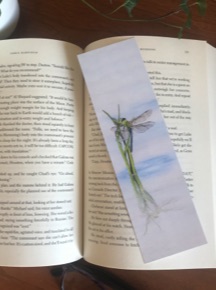 A realistic painting of a dragonfly reproduced on a bookmark sitting on a page of a book. 